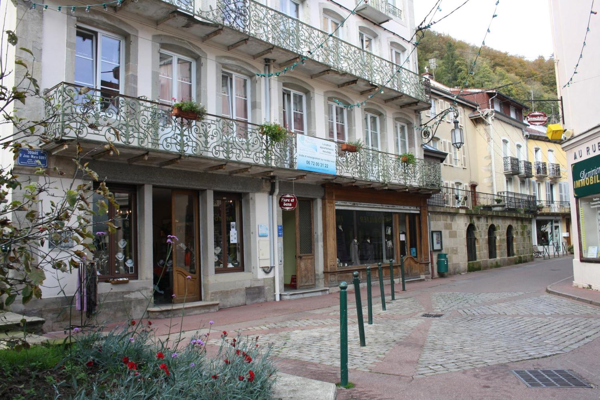 Residence Maison Blanche Plombieres-les-Bains Bagian luar foto